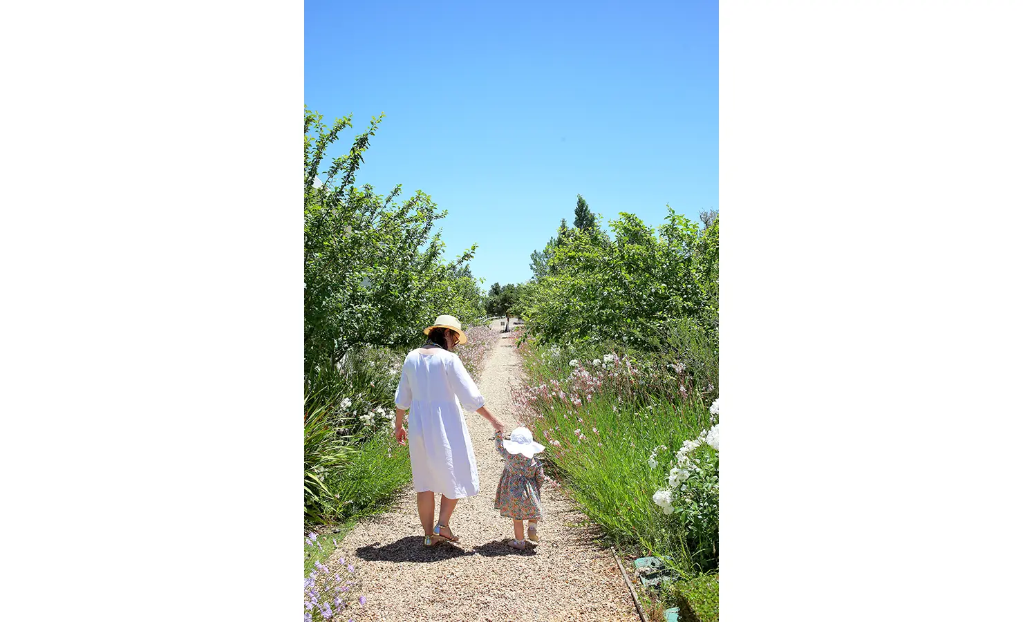 Perfect Hideaways: A sunlit garden pathway lined with blooming wildflowers and fruit trees, where a mother and child walk hand in hand, enjoying the tranquil beauty of nature. Penhill Fruit Barn, Nuy Valley.
