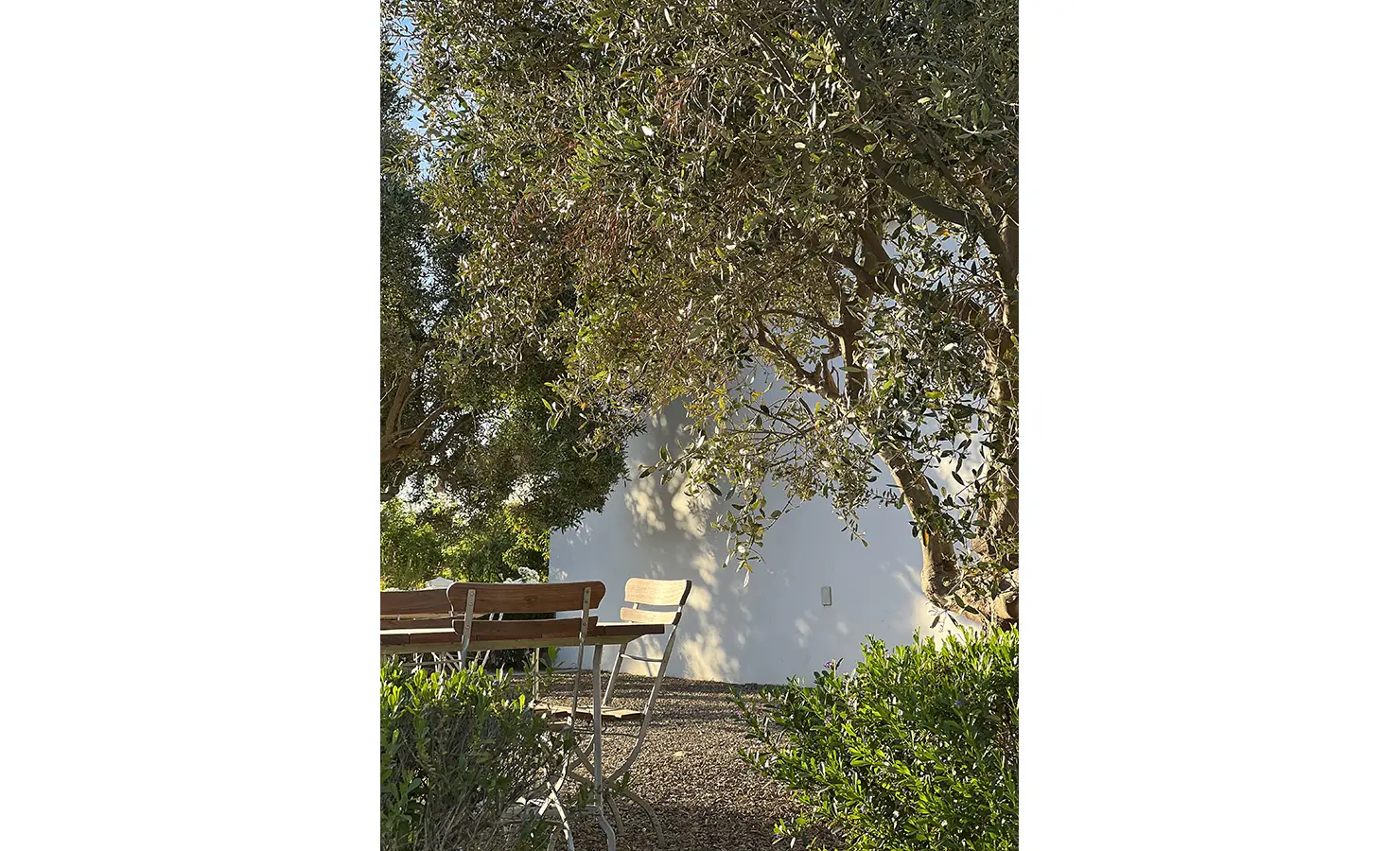 Perfect Hideaways: A quiet outdoor dining nook with rustic wooden seating, nestled under the shade of olive trees, offering a peaceful retreat in the garden. Penhill Fruit Barn, Nuy Valley.