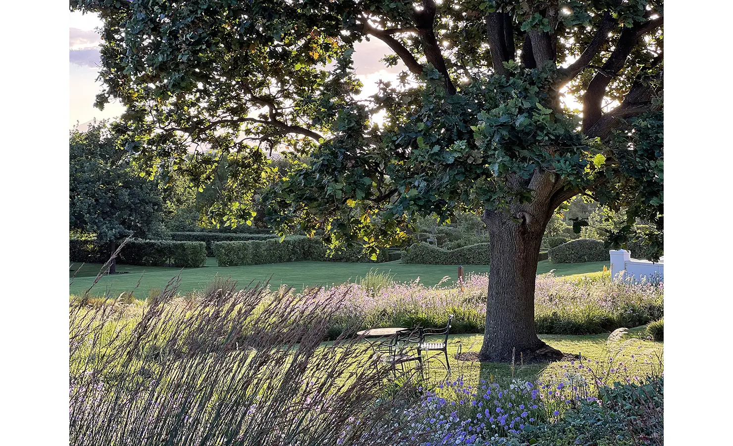 Perfect Hideaways: A picturesque garden scene with wildflowers, a large oak tree, and a shaded bench overlooking the tranquil landscape. Penhill Manor House, Nuy Valley.