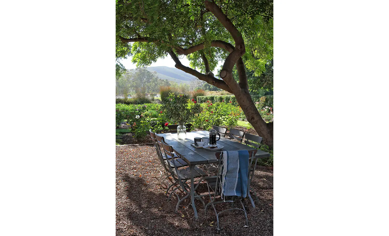 Perfect Hideaways: An outdoor dining table with a French press, cups, and a vase of greenery, set under a large tree with scenic garden views. Penhill Manor House, Nuy Valley.
