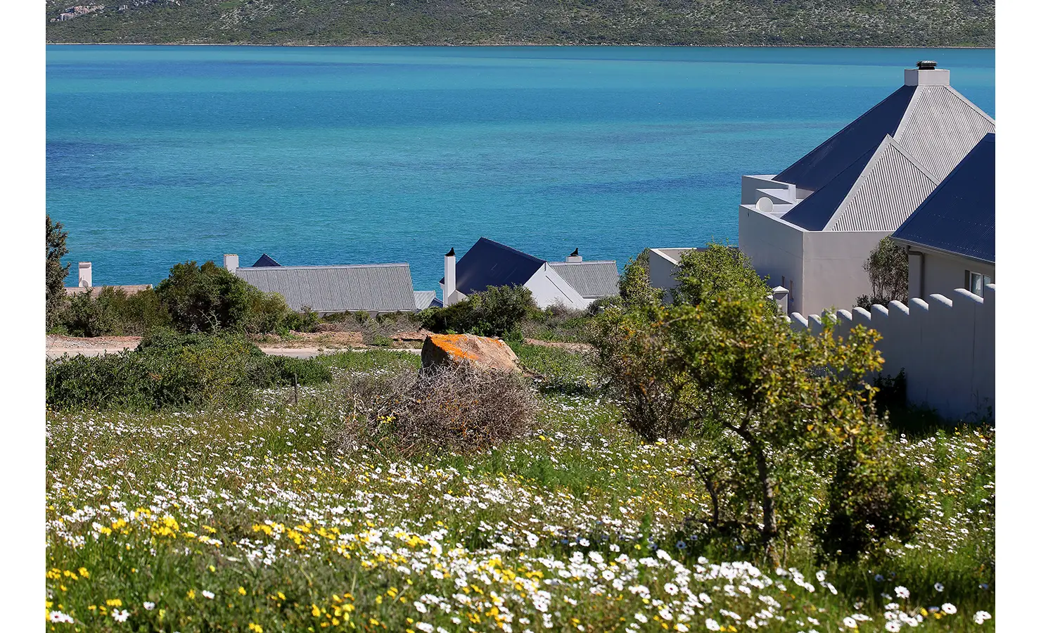 Perfect Hideaways: A sweeping view of the shimmering turquoise lagoon, framed by wildflowers and lush coastal vegetation. Whitewashed cottages with blue roofs nestle into the landscape, blending seamlessly with the natural surroundings. Panorama, Langebaan.