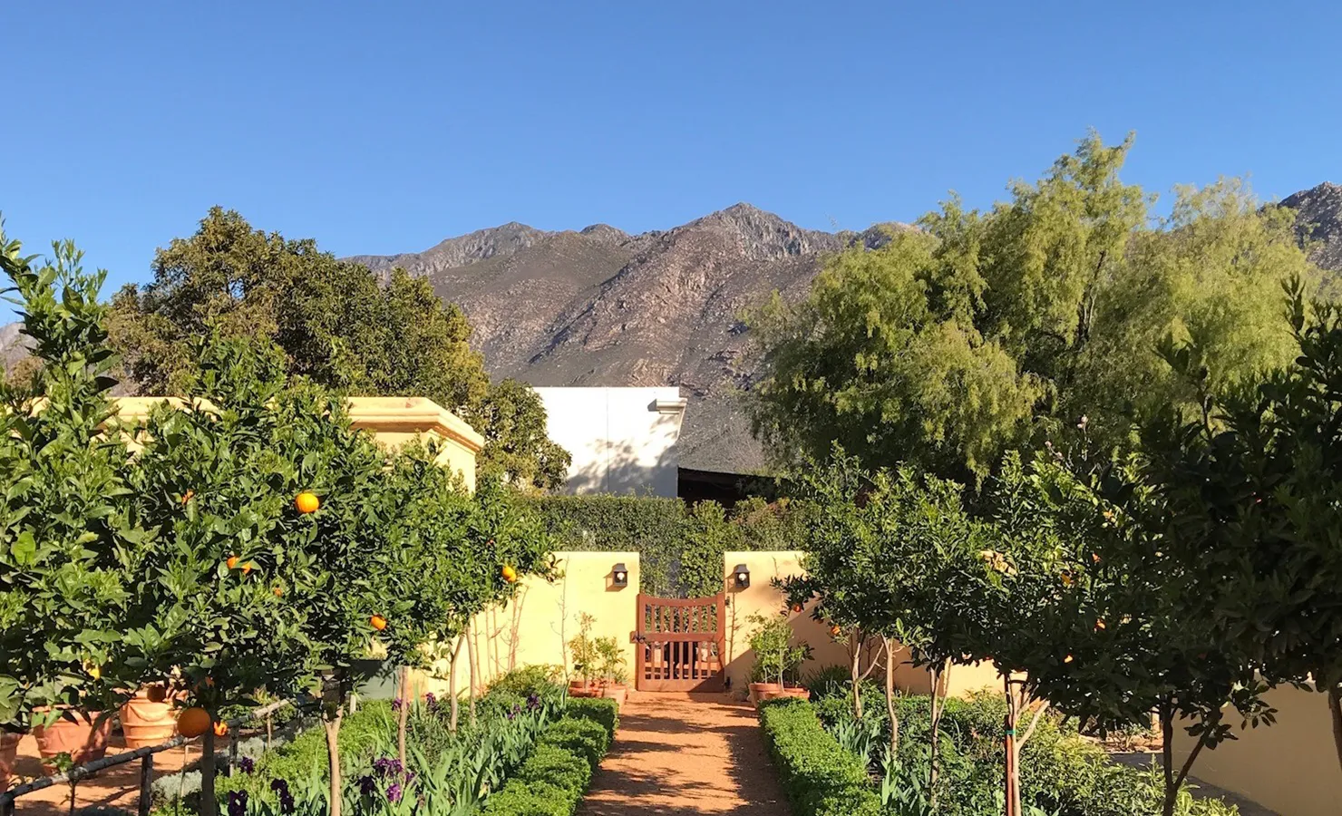 Perfect Hideaways: A sun-drenched pathway flanked by neatly trimmed hedges and rows of fruit-laden citrus trees leads to a charming wooden gate, set against a backdrop of towering Karoo mountains under a clear blue sky. Jonkmanshof, Montagu.