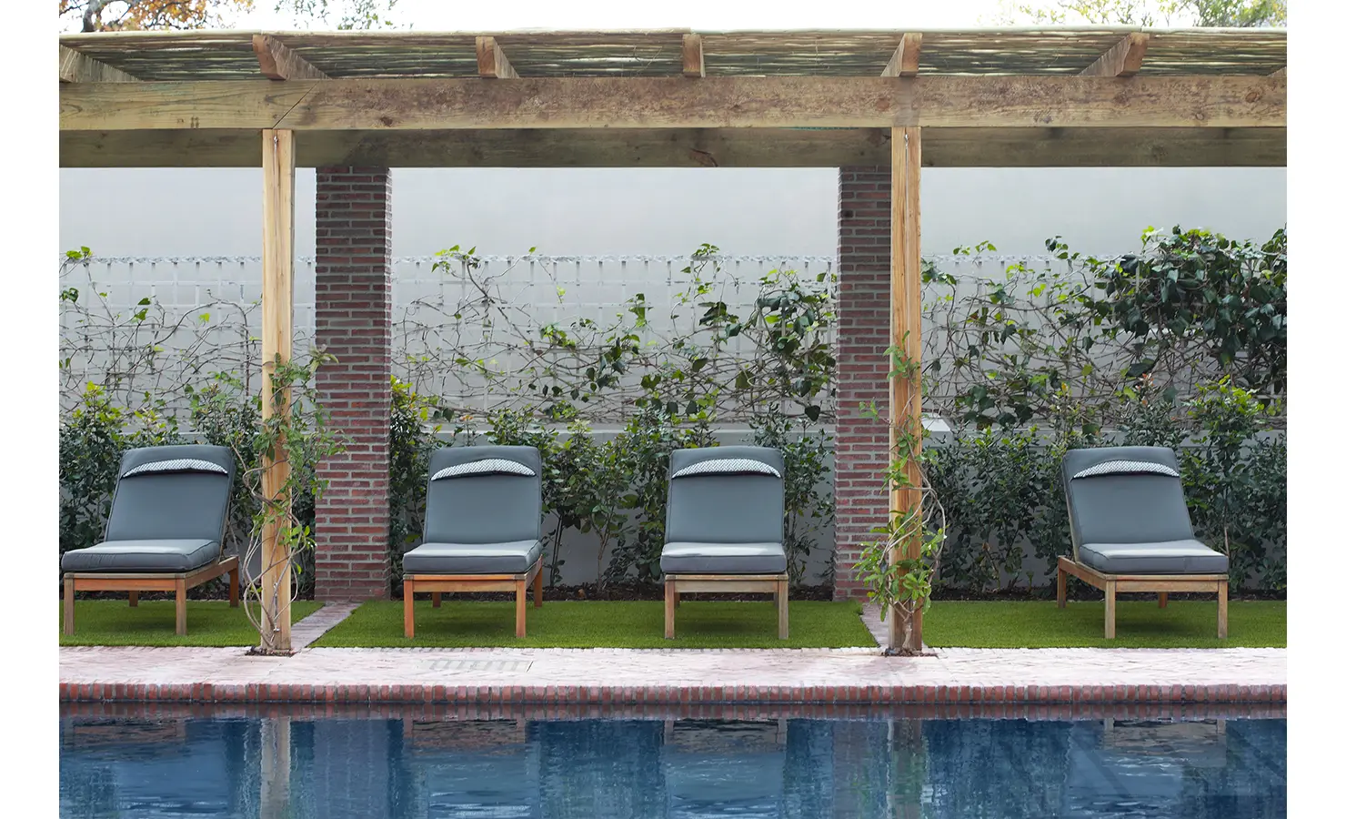 Pool loungers alongside outdoor swimming pool under pergola with vine backdrop. Koko House.