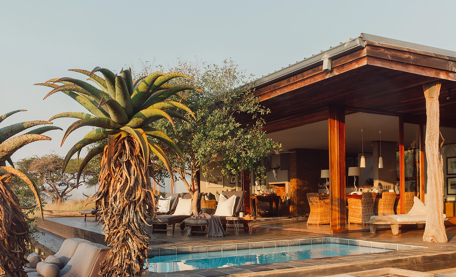 Perfect Hideaways: A luxurious open-plan safari lodge with a shaded veranda, wicker furniture, and pool loungers overlooking a sparkling plunge pool, surrounded by aloe trees and natural bushveld. Thuleni Homestead, Manyoni Private Game Reserve.