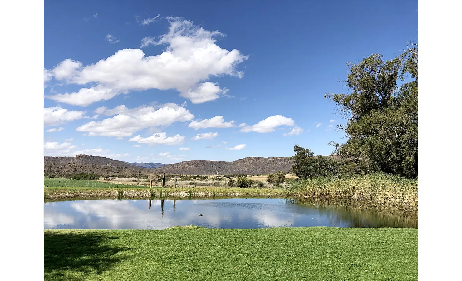 Perfect Hideaways: A reflective pond framed by lush lawn and reeds sits beneath an expansive Karoo sky, with distant koppies completing the tranquil natural landscape. 22 Degrees East, Prince Albert.