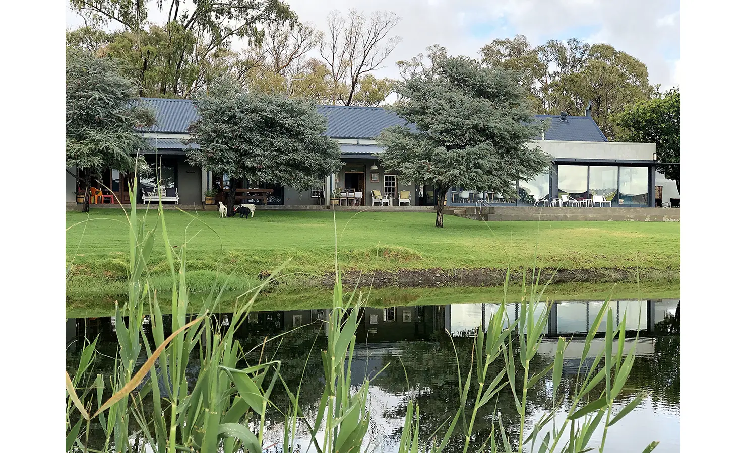 Perfect Hideaways: A wide view of the house reveals its blend of modern and farmhouse elements, surrounded by trees, lawn, and reflected in the still waters of a dam. 22 Degrees East, Prince Albert.