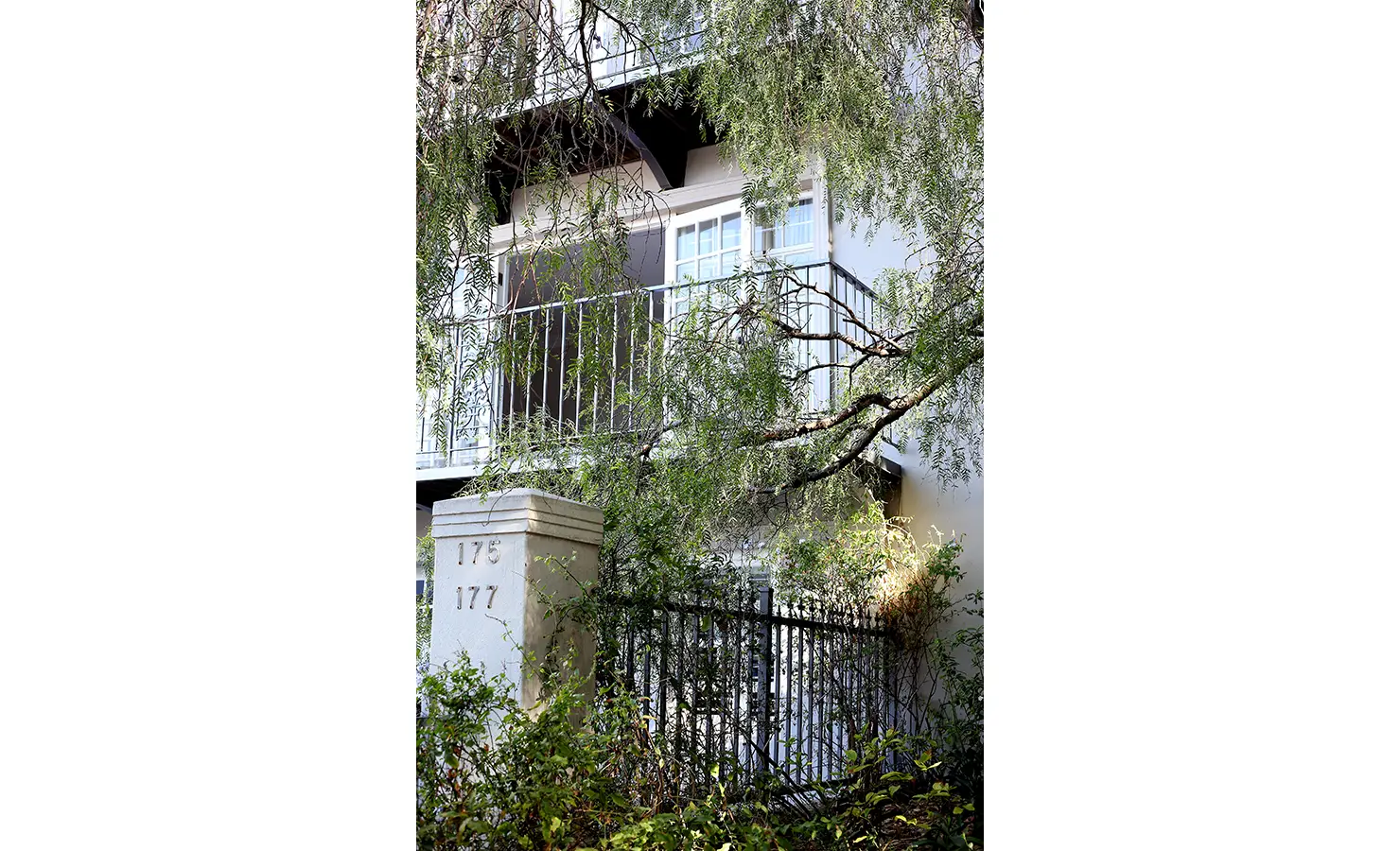 Perfect Hideaways: Leafy façade of the house partially concealed by dense pepper tree foliage, with a view of the front gate marked 175 and 177. Pepper Tree House, De Waterkant.