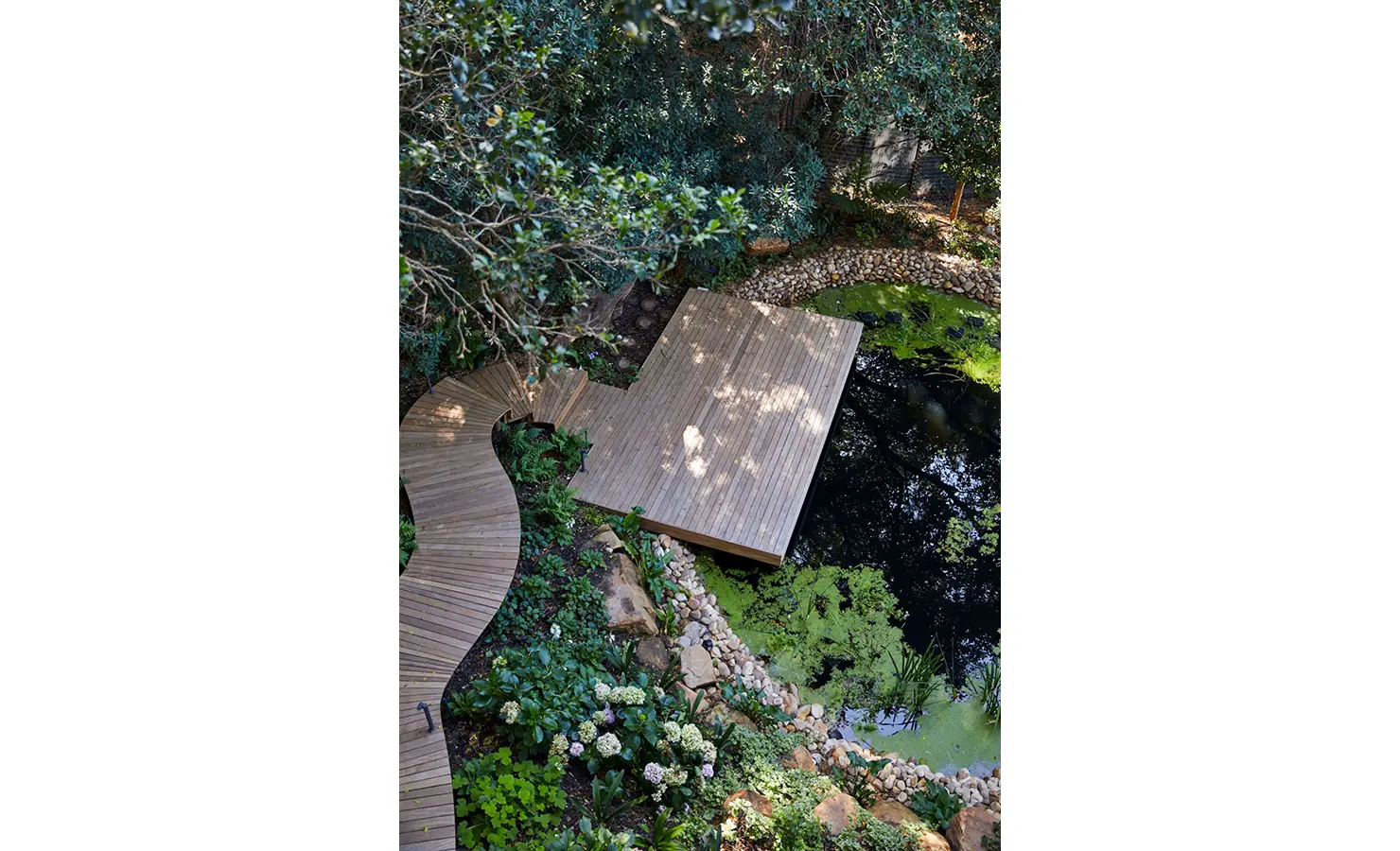 Perfect Hideaways: A peaceful garden pond bordered by lush greenery and flowering plants, with a curving timber boardwalk leading to a floating deck nestled in the trees. Villa Verte, Hout Bay.