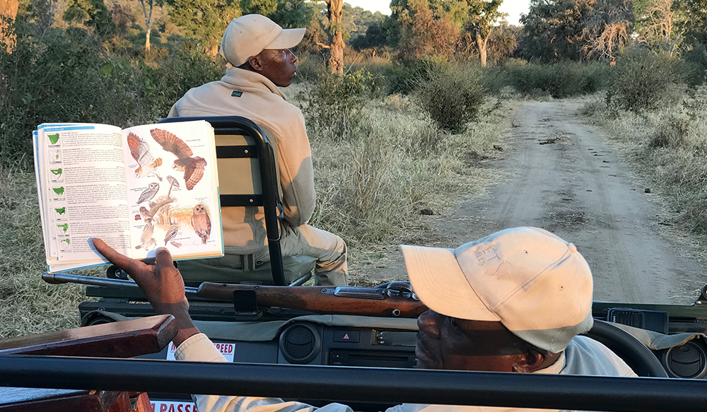 Matetsi is the largest private game reserve stretching from the National Park all the way to the Botswana border, with an astonishing 50 000 ha to explore.