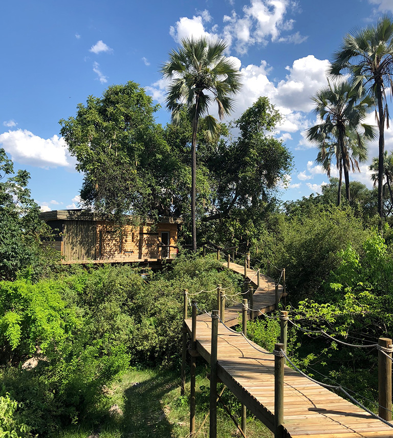 Victoria Falls River Lodge has two options for luxurious accommodation along the river: there are luxury tented suites and newly built private villas, ideal for multigenerational safaris, weddings and families who love privacy. Their Kandahar Island treehouses, two of which have additional Star Beds on the top floor, are set among the palms with overhead walkways