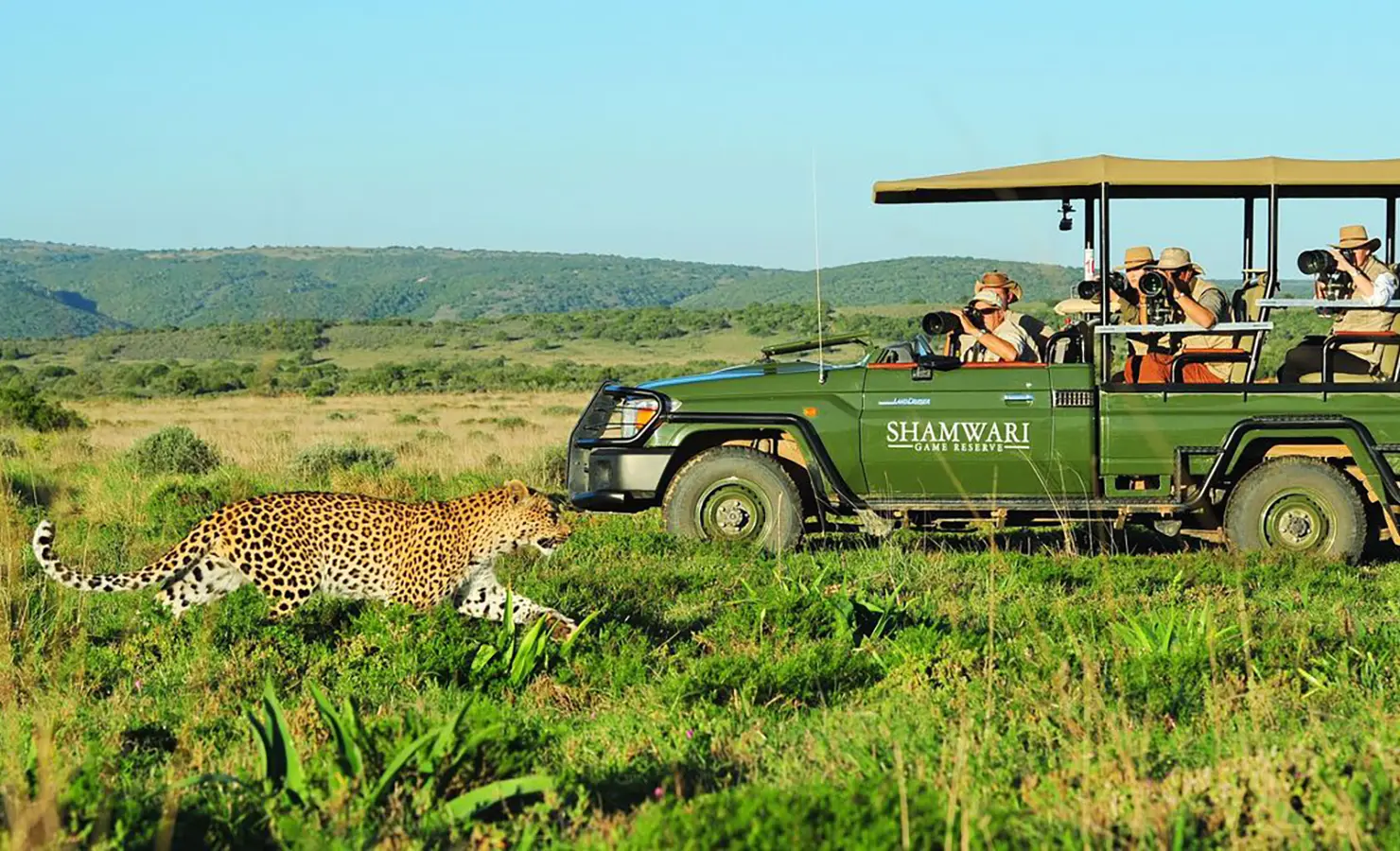 Perfect Hideaways: A safari vehicle with photographers observing a leopard running across a grassy plain under a clear blue sky. Riverdene, Shamwari Private Game Reserve.