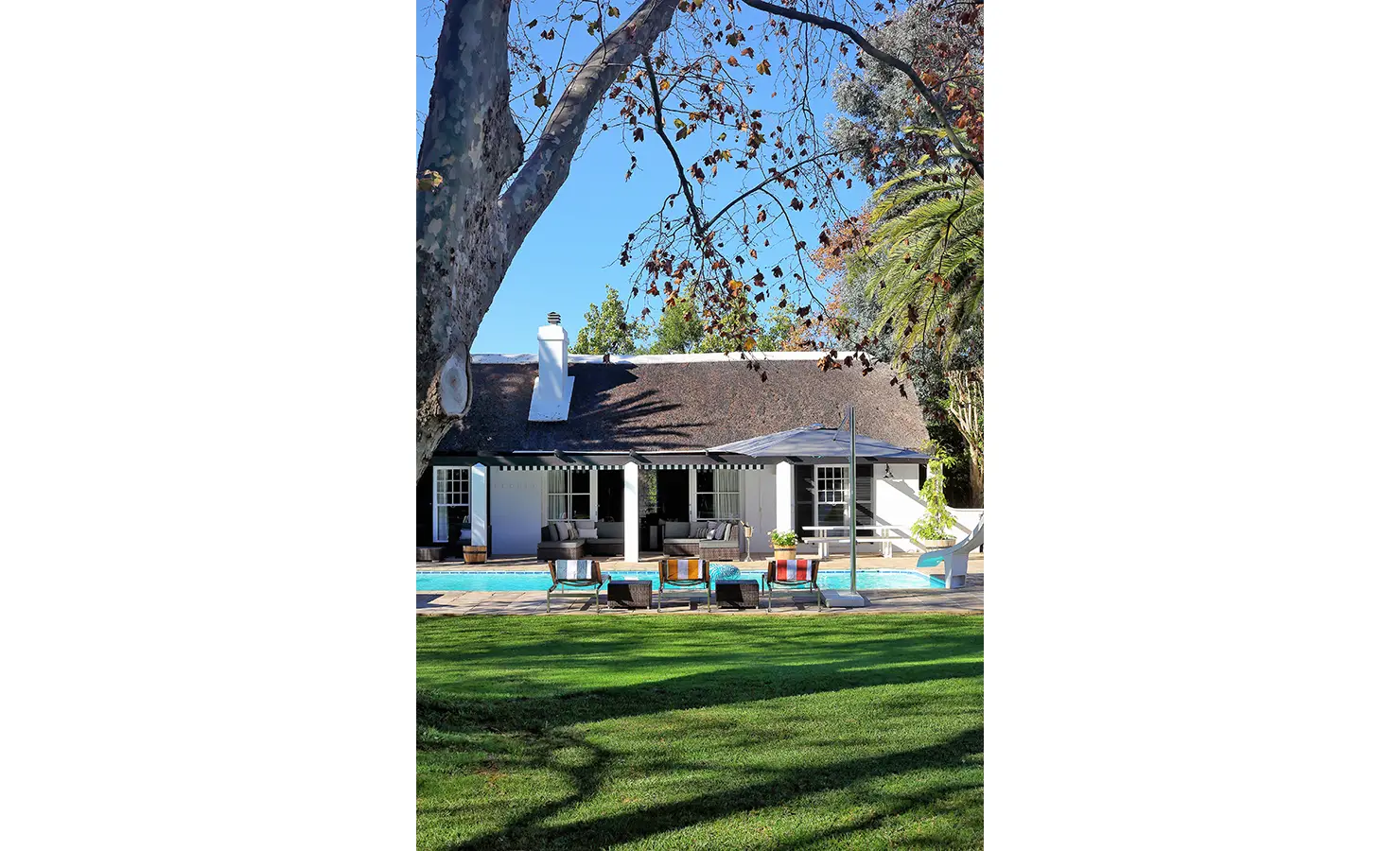 Perfect Hideaways: A serene poolside view with stylish loungers, a shaded patio, and a thatched-roof house, framed by a towering tree with autumn leaves. Buitenzorg Estate, Constantia.