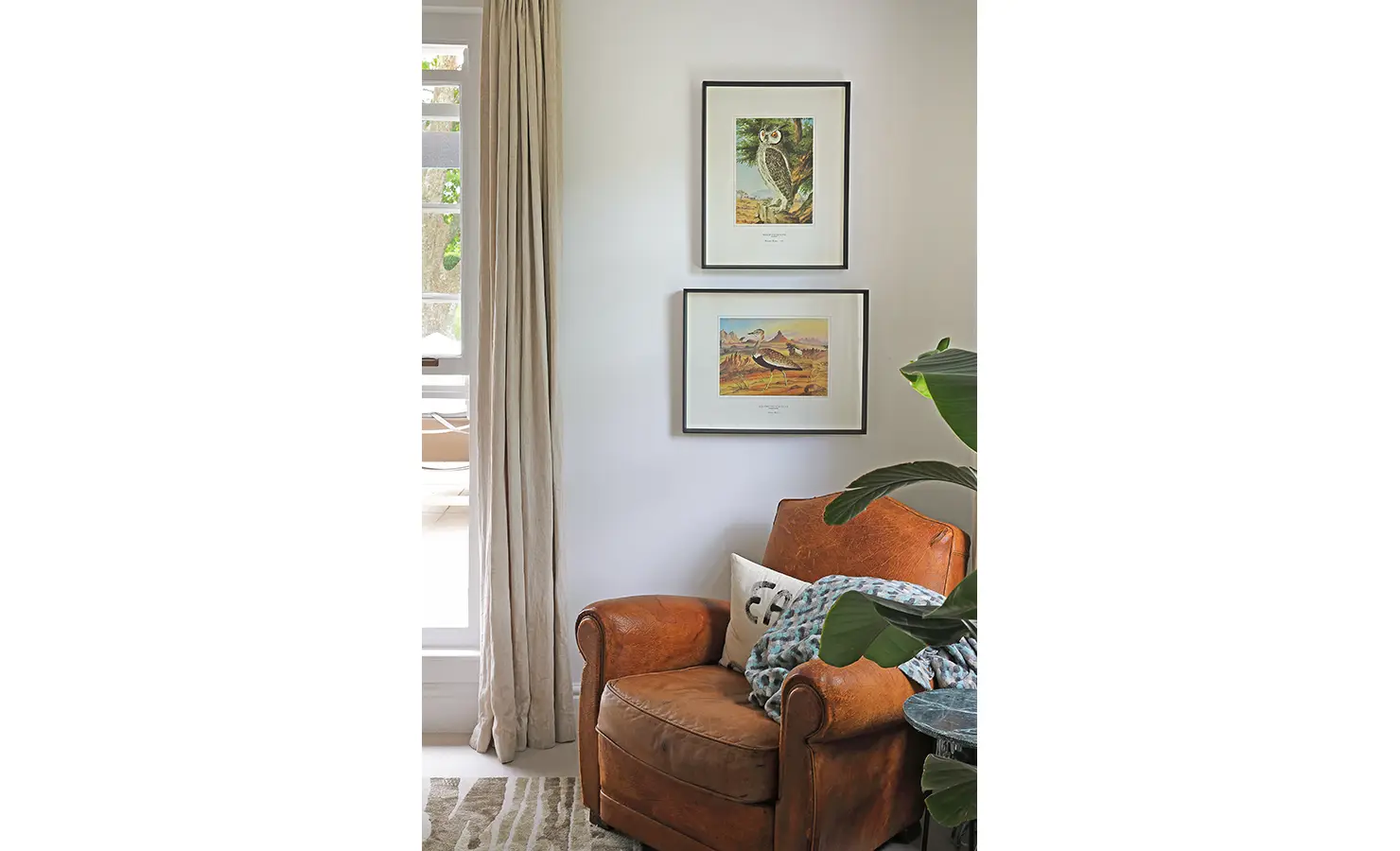 Perfect Hideaways: A cosy corner with a well-worn leather armchair, framed bird illustrations, and soft natural light filtering through linen curtains. Buitenzorg Estate, Constantia.