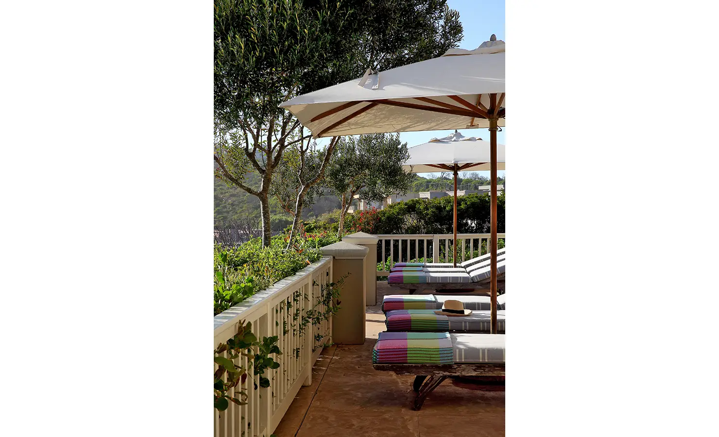 Perfect Hideaways: A row of sun loungers with colourful striped cushions under large umbrellas on a patio surrounded by lush plants, offering a tranquil escape. Beachwood On Robberg, Plettenberg Bay.