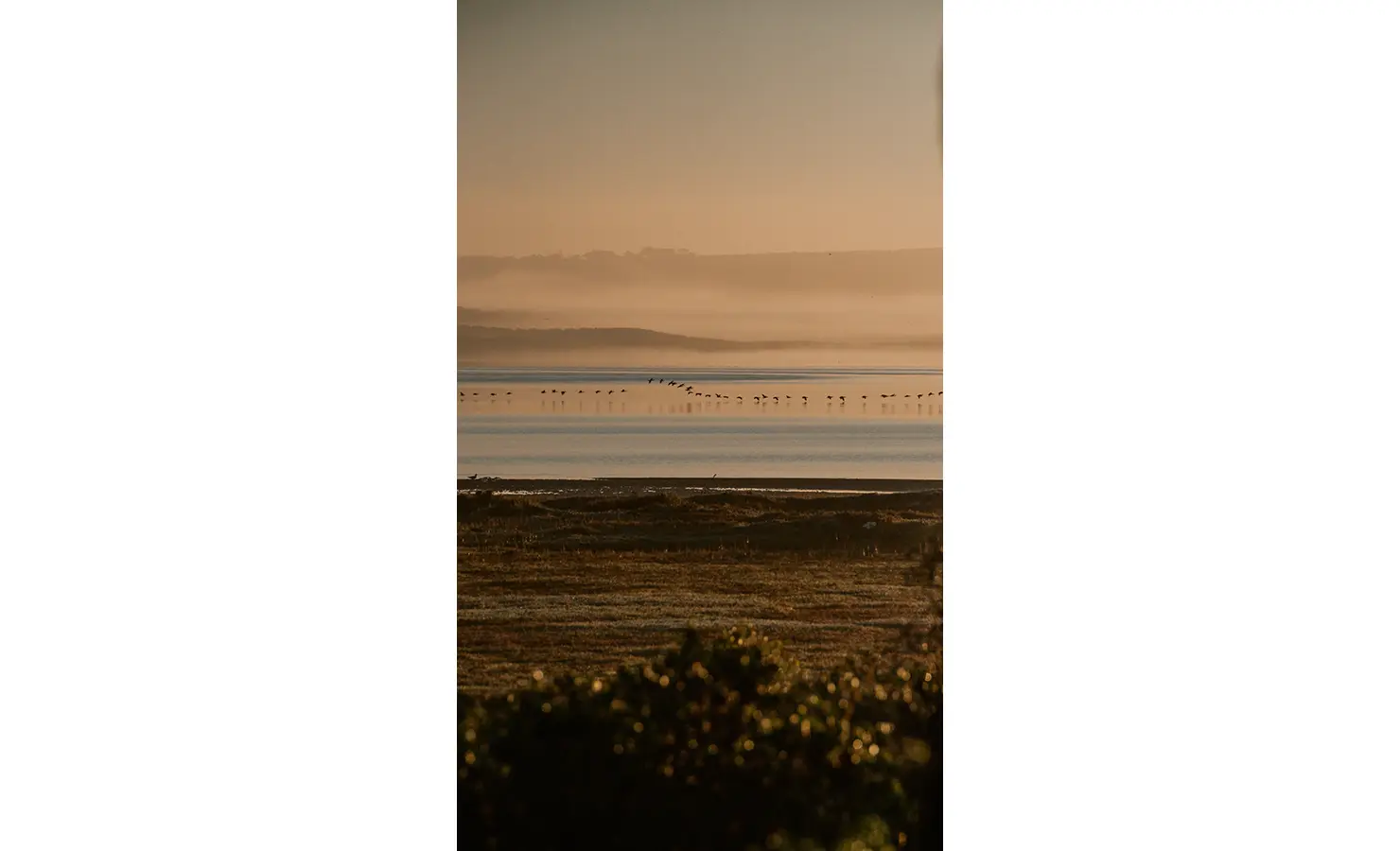 Perfect Hideaways: A dreamy dawn view over the lagoon as a flock of birds glides just above the misty water, golden light casting a soft glow across the horizon and grassy shore. Yellowwood Cottage, Churchhaven.