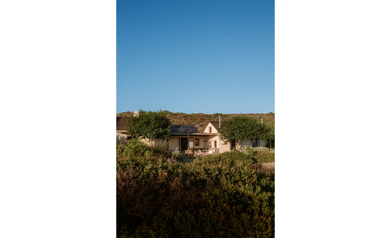 Perfect Hideaways: A full view of the cottage nestled into the natural landscape, its low-slung structure shaded by leafy trees and surrounded by indigenous vegetation under a clear blue sky. Yellowwood Cottage, Churchhaven.