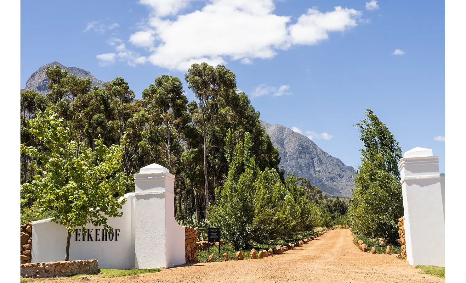 Perfect Hideaways: The welcoming entrance to Eikehof Farm, featuring whitewashed gate pillars, a tree-lined gravel road, and towering mountains in the background beneath a bright blue sky. Eikehof Farm, Worcester.