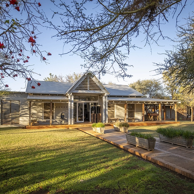 Perfect Hideaways - Two small antelope graze on a bright green lawn in front of a modern farmhouse-style lodge with cream walls, timber pillars, and a corrugated metal roof, while a woman sits on the front step watching them. Morukuru Farm House, Madikwe Game Reserve