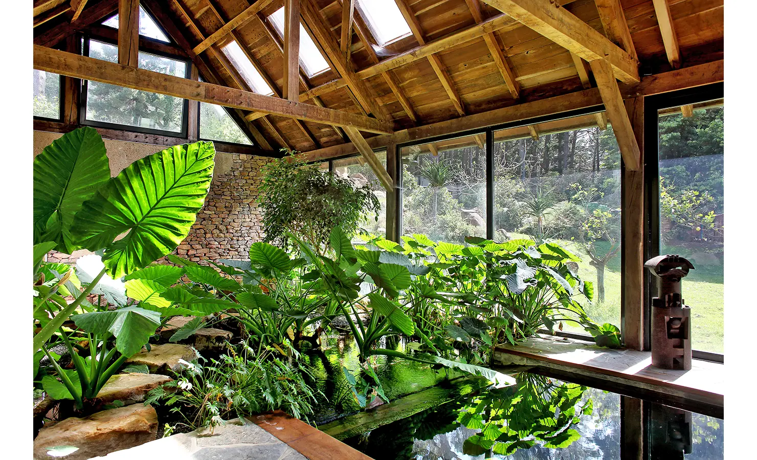 Perfect Hideaways. A serene indoor garden with lush green plants surrounding a small pond. The space has large windows and a wooden ceiling, allowing sunlight to illuminate the foliage. An artistic sculpture is placed by the pond, adding to the natural ambiance. Gaia, Constantia.