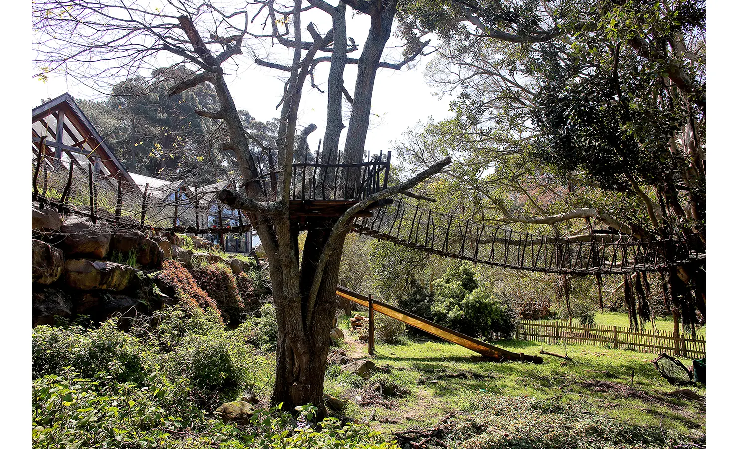 Perfect Hideaways. A rustic treehouse connected by a wooden suspension bridge to another platform. The treehouse is surrounded by lush greenery and a wooden fence. Sunlight filters through the leaves, creating a serene outdoor setting. Gaia, Constantia.