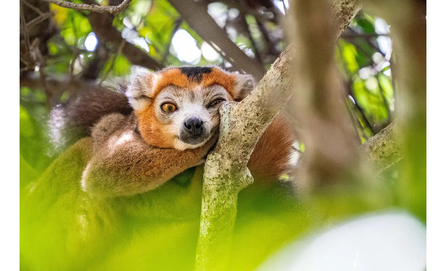 24_listing_madagascar_nosy ankao_miavana_ph