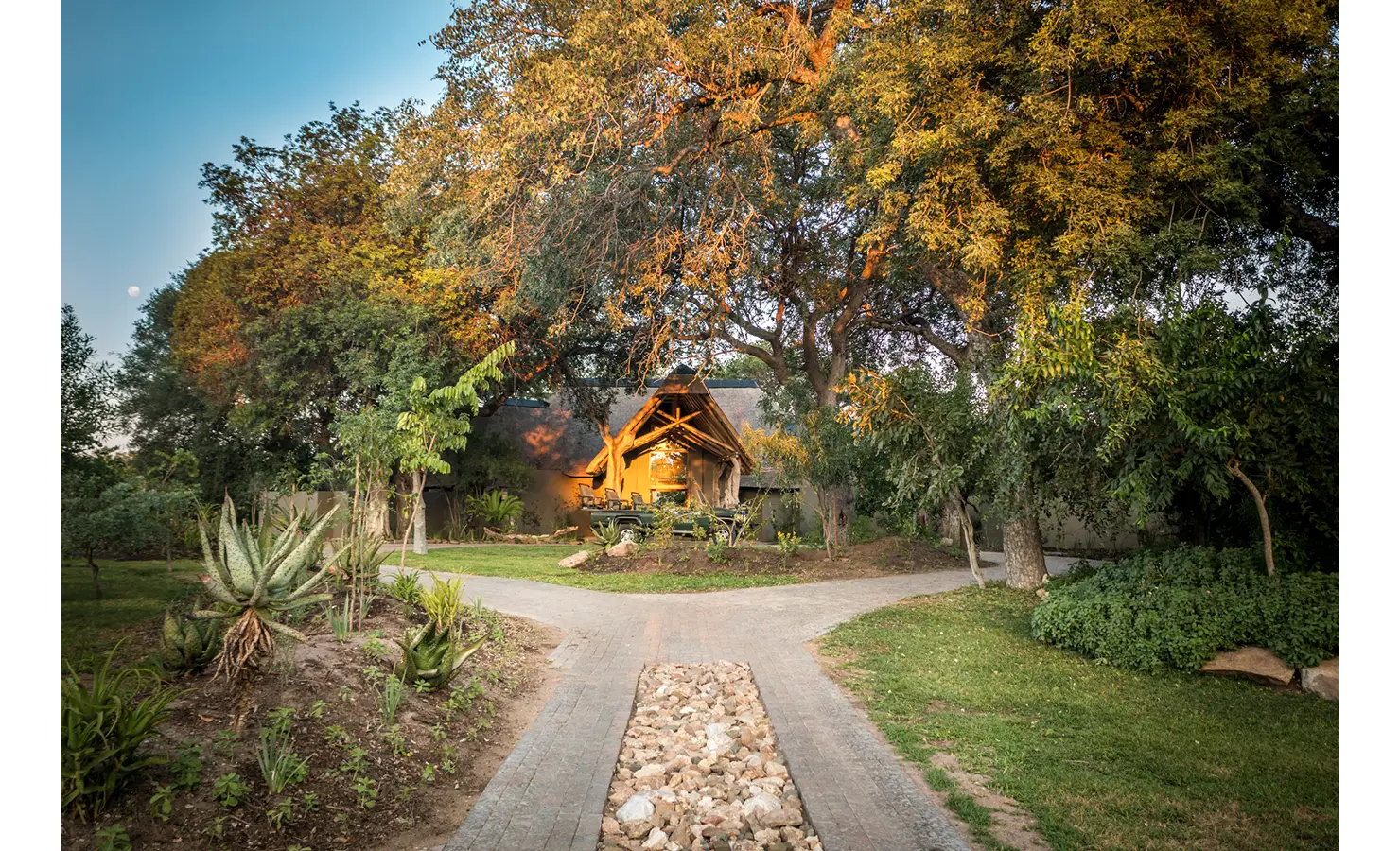 Perfect Hideaways: A serene view of a pathway surrounded by lush greenery leading to a wooden lodge nestled under large trees, bathed in golden sunlight. Tulela Lodge, Klaserie Private Nature Reserve.