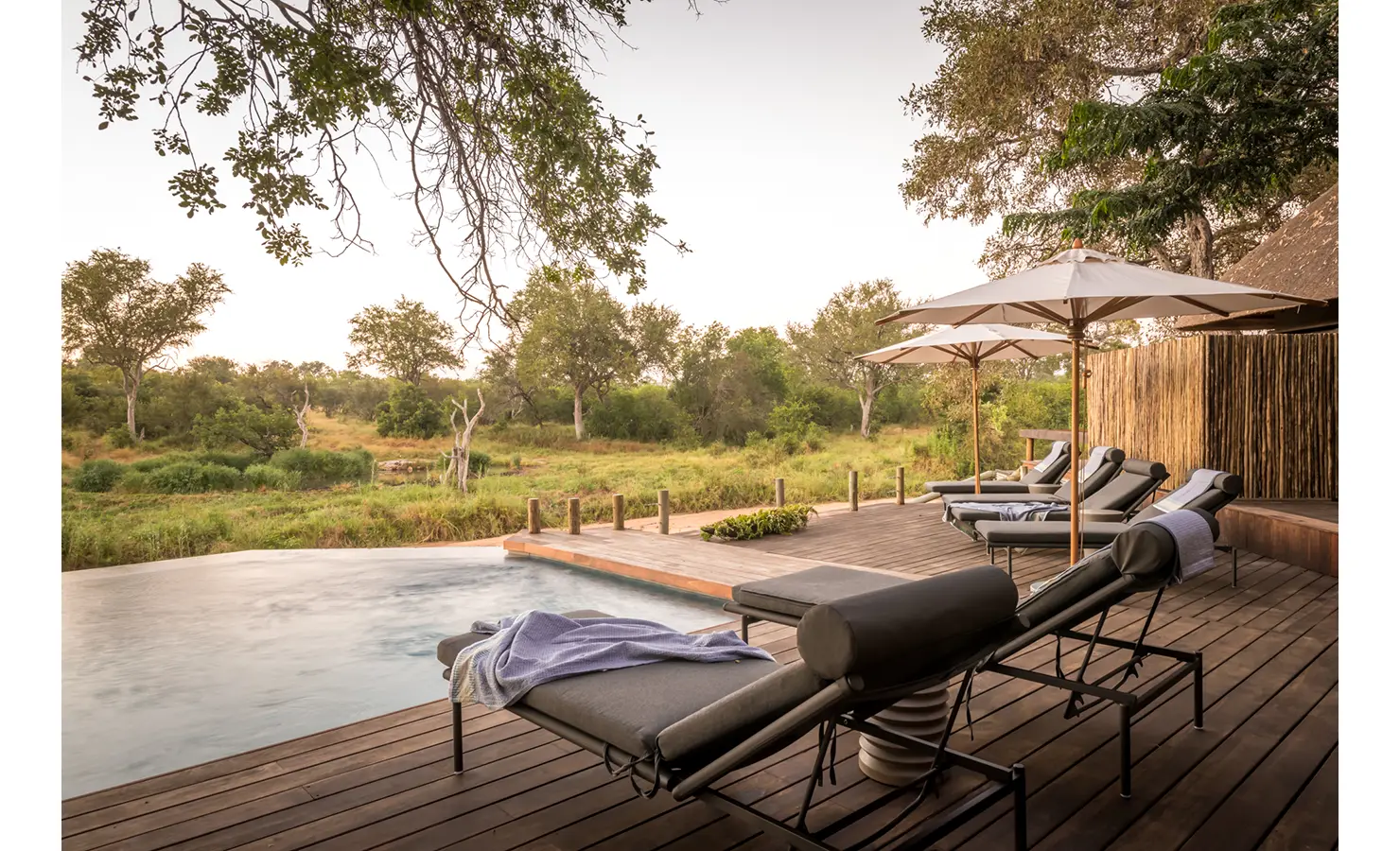 Perfect Hideaways: A luxurious poolside deck with sun loungers and umbrellas, offering stunning views of the surrounding wilderness. Tulela Lodge, Klaserie Private Nature Reserve.