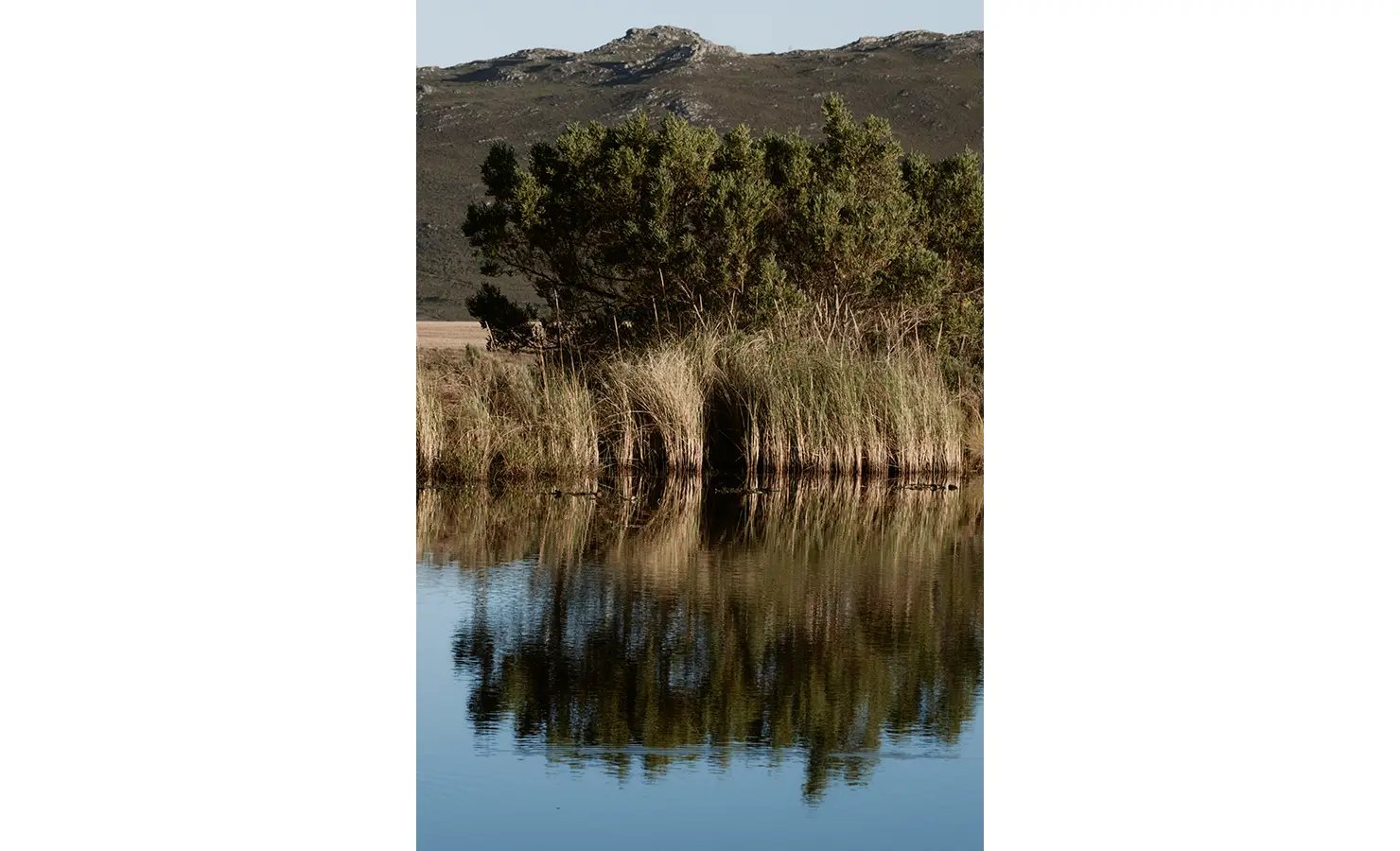 Perfect Hideaways: Tranquil dam surrounded by reeds and trees, with still waters reflecting the mountainous landscape, Thuúla Haven, Hemel-en-Aarde.