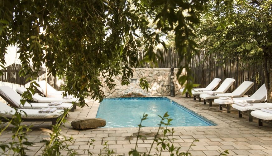 Perfect-Hideaways-River-Lodge-Simbavati-swimming-pool-loungers16-2.jpg