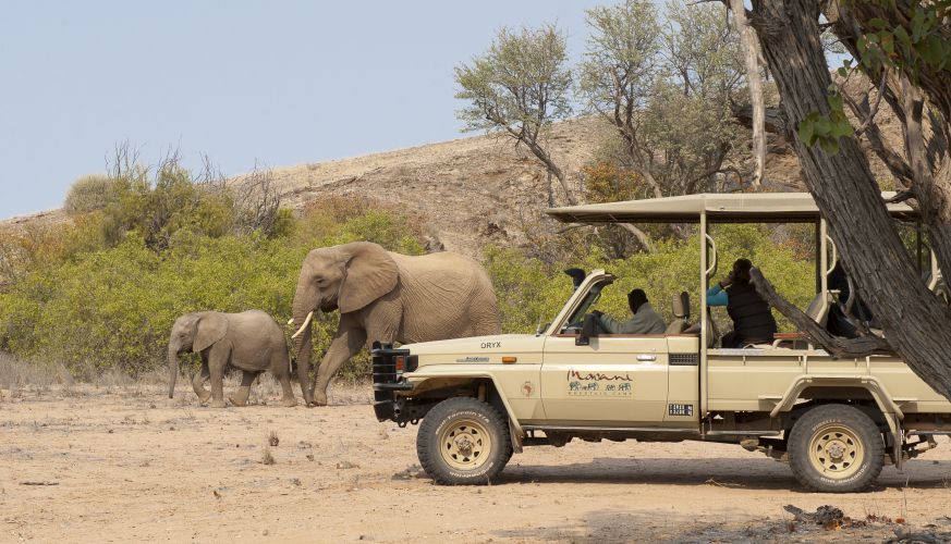 mowani-desert-elephant-excursion-perfect-hideaways-mowani-mountain-camp-namibia-2.jpg