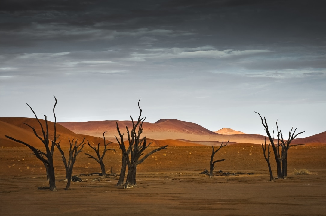 perfect-hideaways-Namibia-Kwessi-Dunes-021