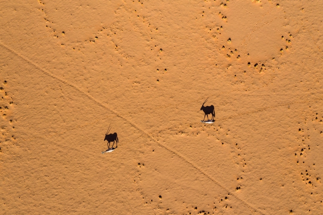 perfect-hideaways-Namibia-Sossusvlei-Desert-Lodge-027