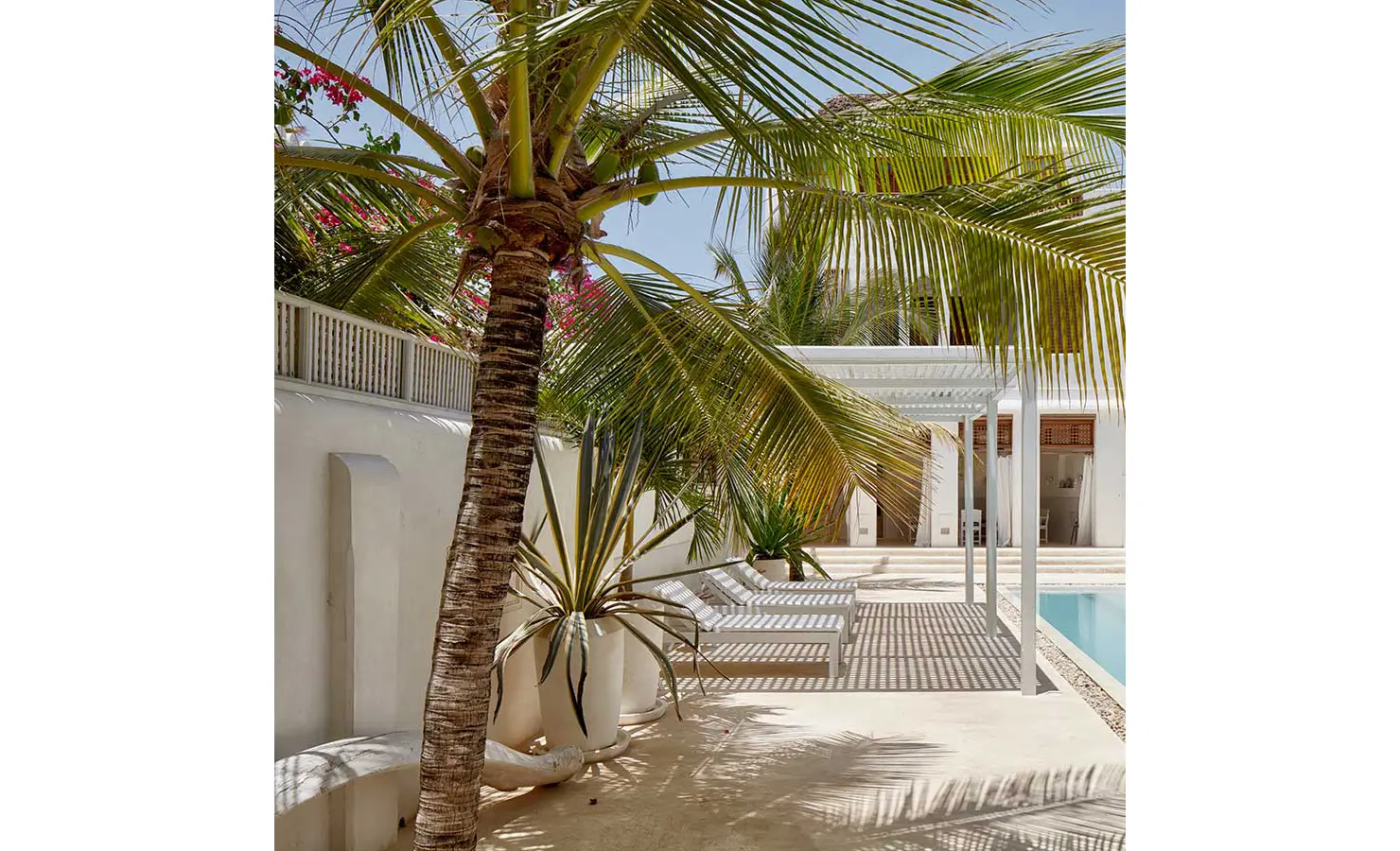 Perfect Hideaways: A serene poolside setting featuring white sun loungers, potted plants, and the shade of swaying palm trees against a whitewashed wall. The Kasbah, Lamu.