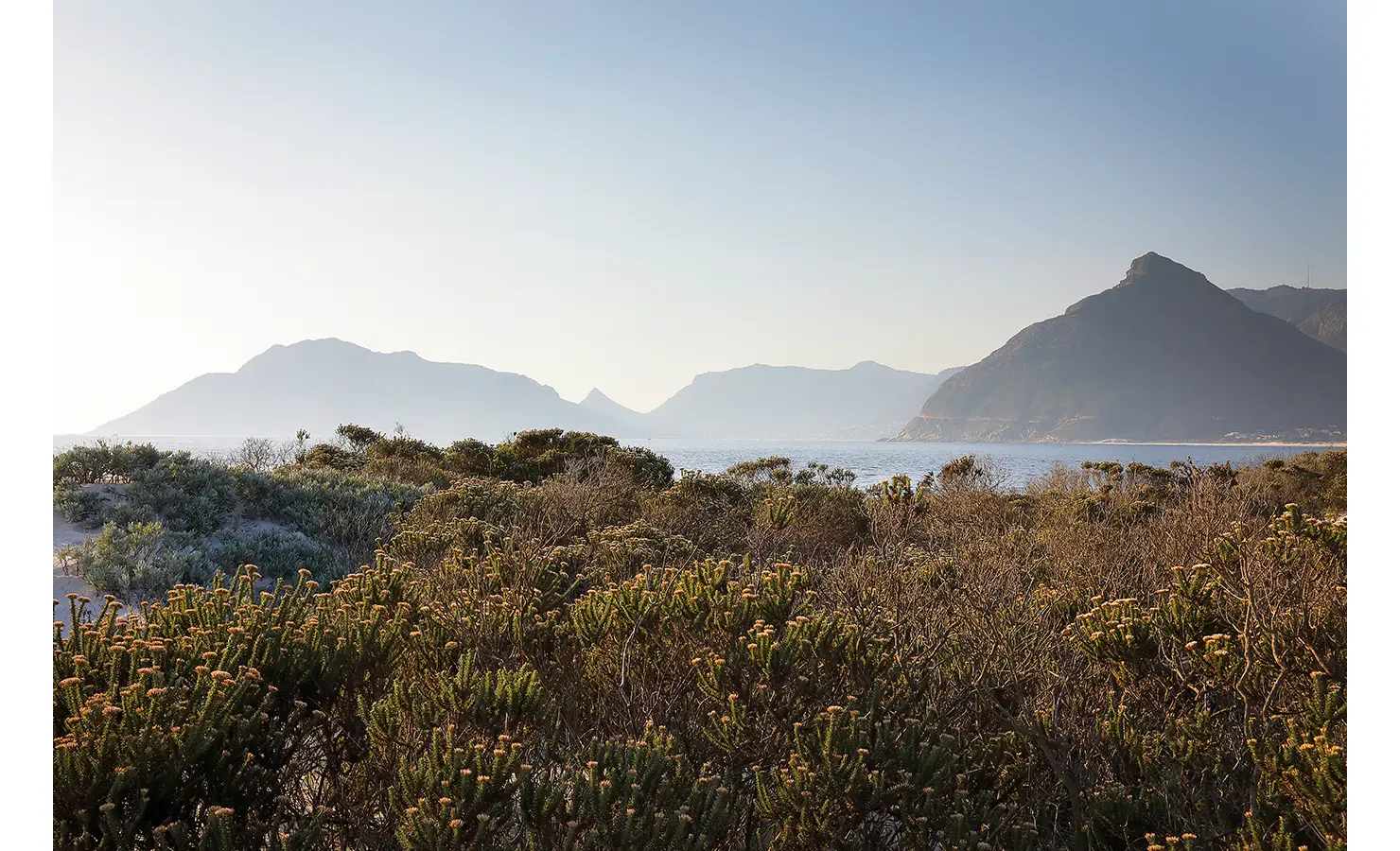 Perfect Hideaways: A breathtaking view of the rugged coastline and distant mountains, framed by indigenous fynbos. The perfect backdrop for a peaceful retreat in nature. Sunset Cove, Kommetjie.