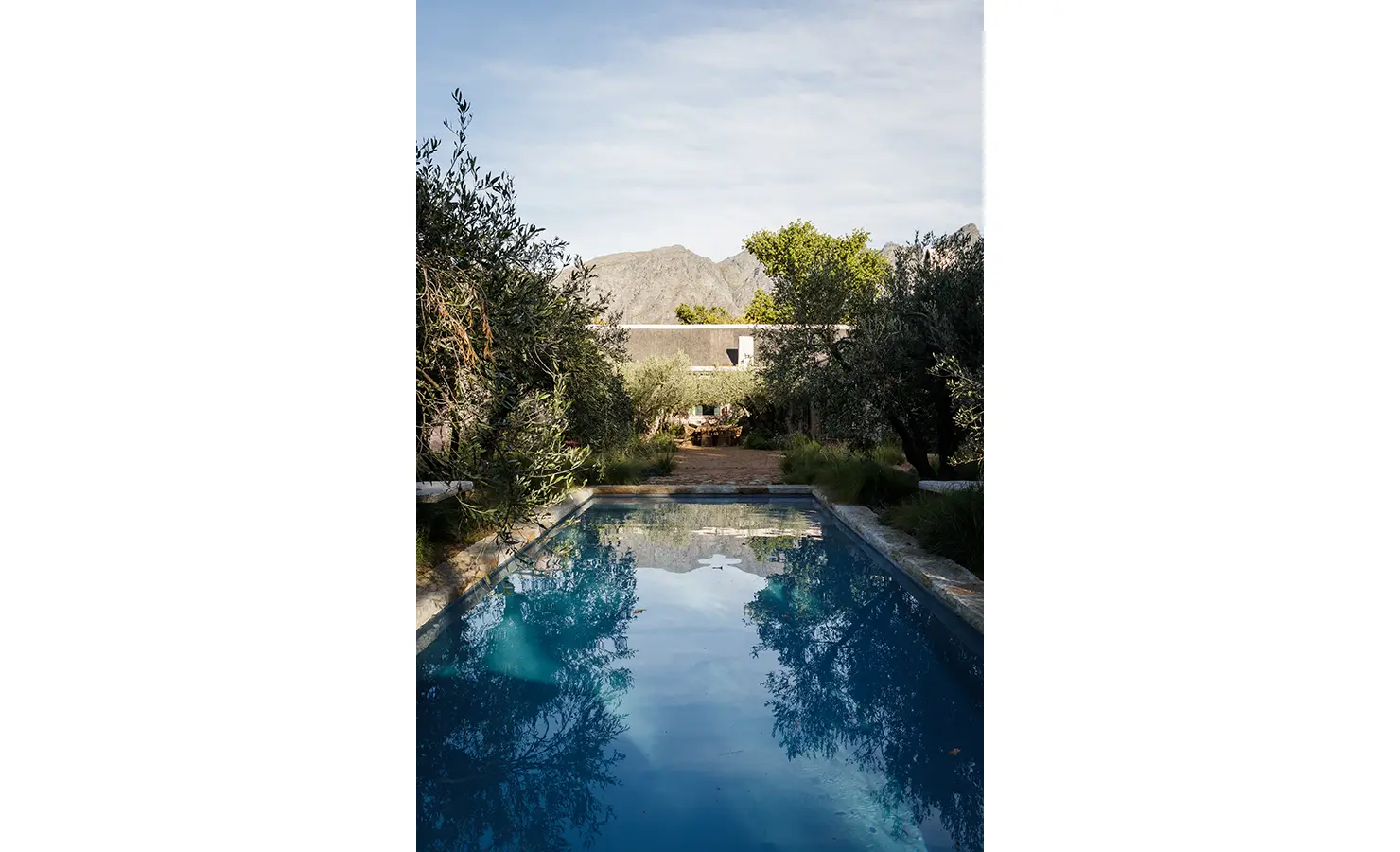 Perfect Hideaways: A serene view of a rectangular swimming pool surrounded by lush olive trees, with a stone pathway leading to a mountain backdrop. Sterrekopje, Franschhoek.