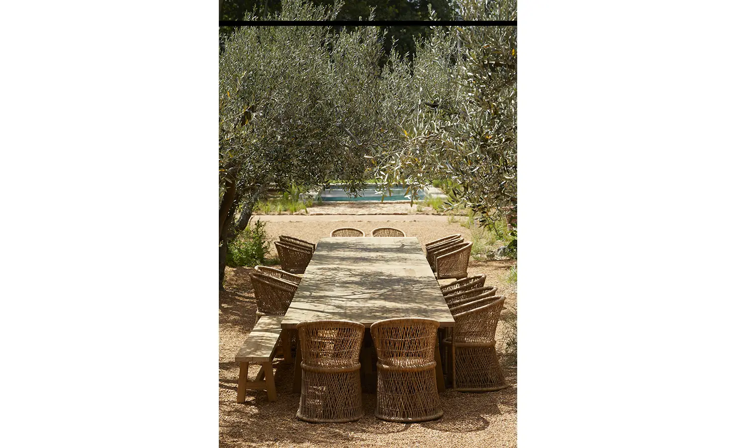 Perfect Hideaways: An outdoor dining setup featuring a rustic wooden table with woven chairs, shaded by olive trees, with a pool visible in the distance. Sterrekopje, Franschhoek.