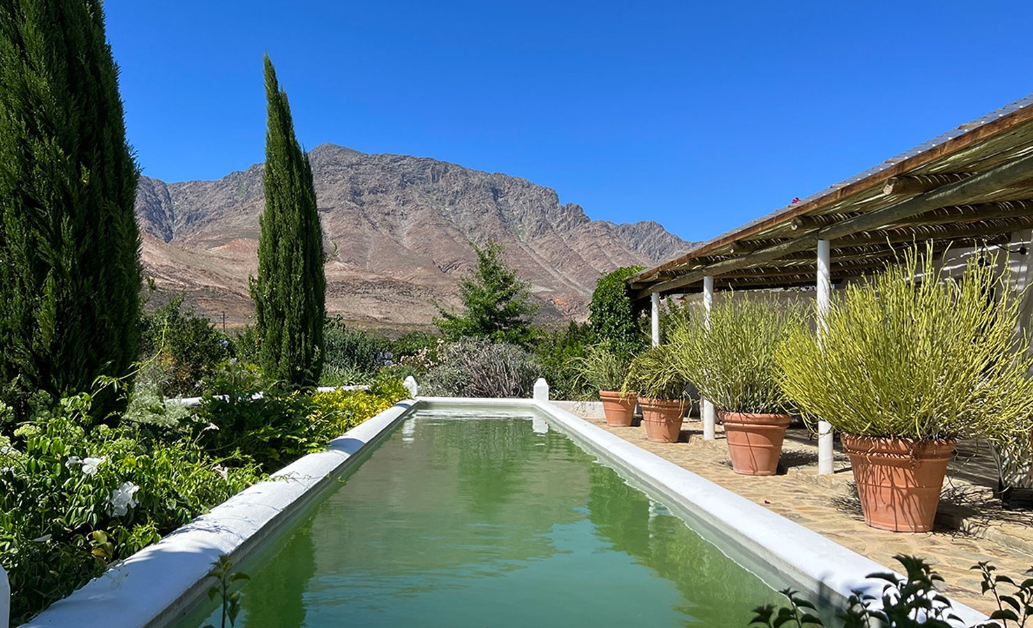 An oasis in the summer heat, the long pool at De Hoek farm near Barrydale has striking views of the mountains beyond