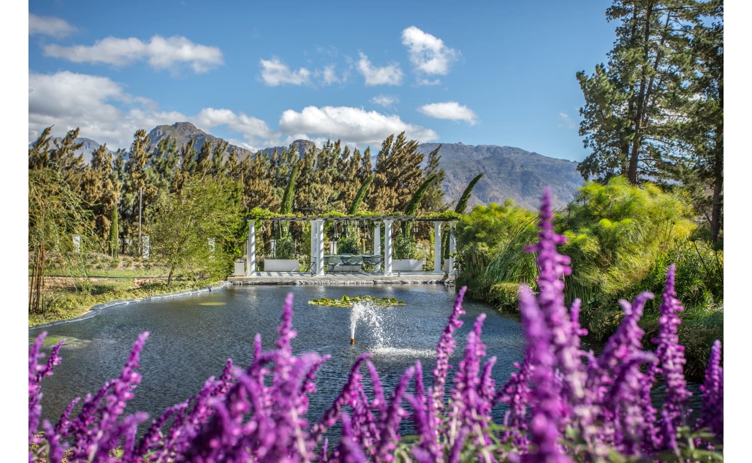Perfect-hideaways-Franschhoek-Monument-House-Estate-Ty-Gwrydd-009