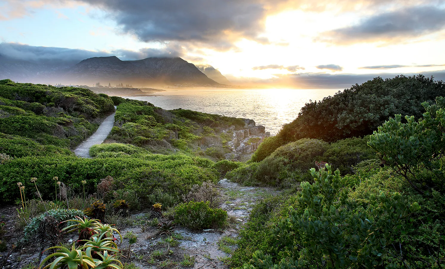The cliffside path extends along the shoreline of Hermanus towards Grotto Beach where the Overberg mountains meet this magnificent sweep of Walker Bay.