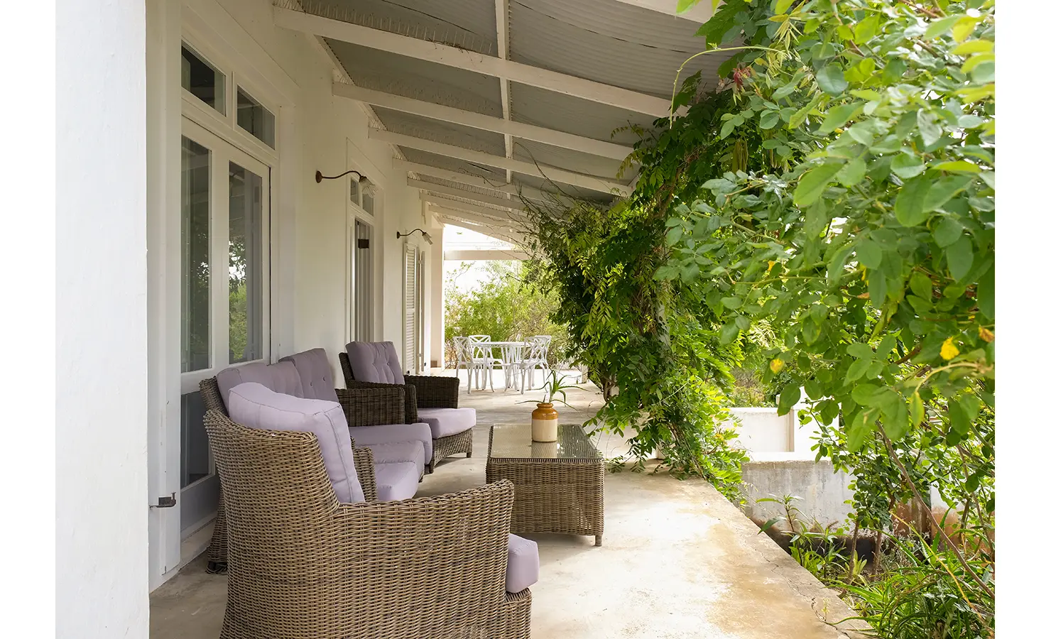 Perfect Hideaways: A charming wraparound veranda with vintage-inspired wicker seating, draped in greenery, inviting guests to enjoy the fresh air and country views. 13 On Grewe, McGregor.