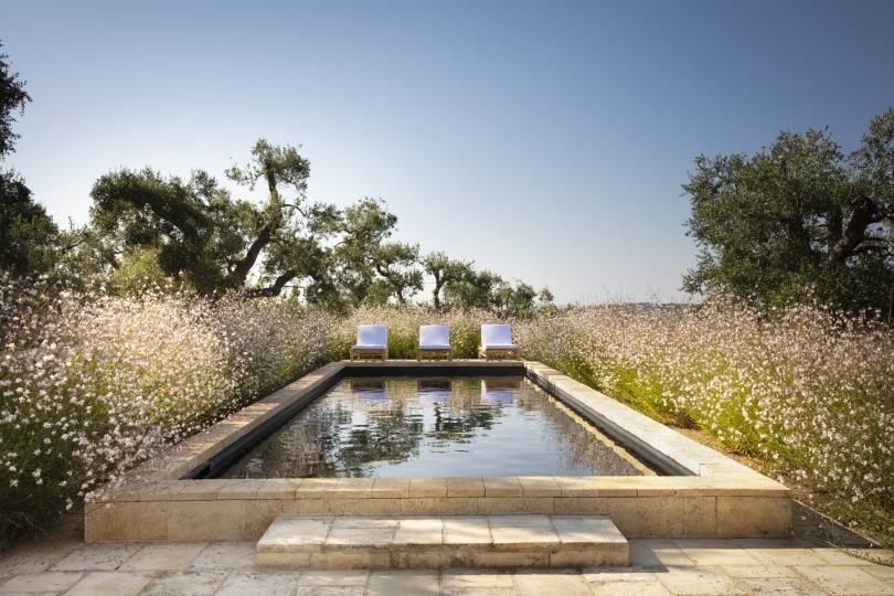 Pool surrounded by summer blooms in the garden as Casa Olivetta, Puglia