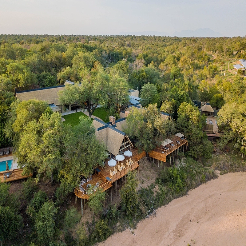 Perfect Hideaways: An aerial view of Thornybush Lodge, nestled within the lush expanse of the Thornybush Game Reserve. The lodge's thatched-roof structures blend seamlessly with the surrounding greenery, while an expansive wooden deck with lounge chairs and umbrellas overlooks a dry riverbed. Elevated walkways lead to private viewing platforms, offering breathtaking vistas of the wilderness. Thornybush Lodge, Thornybush Game Reserve.