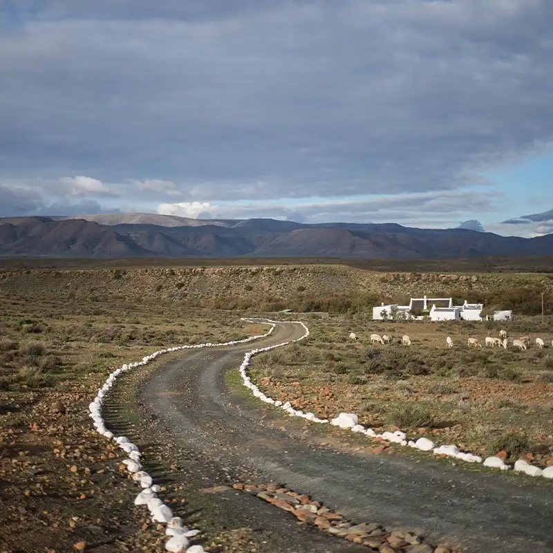 Perfect Hideaways: A winding dirt road lined with white stones leads to a distant farmhouse surrounded by grazing sheep, set against a backdrop of rolling hills and a cloudy sky. Shoot Locations.