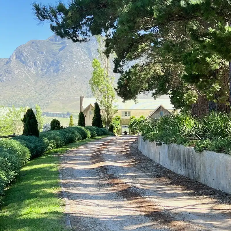 Perfect Hideaways: A serene country scene with a gravel path leading to a rustic house. Lush greenery and tall trees line the path. Mountains rise majestically in the background. Shoot Locations.