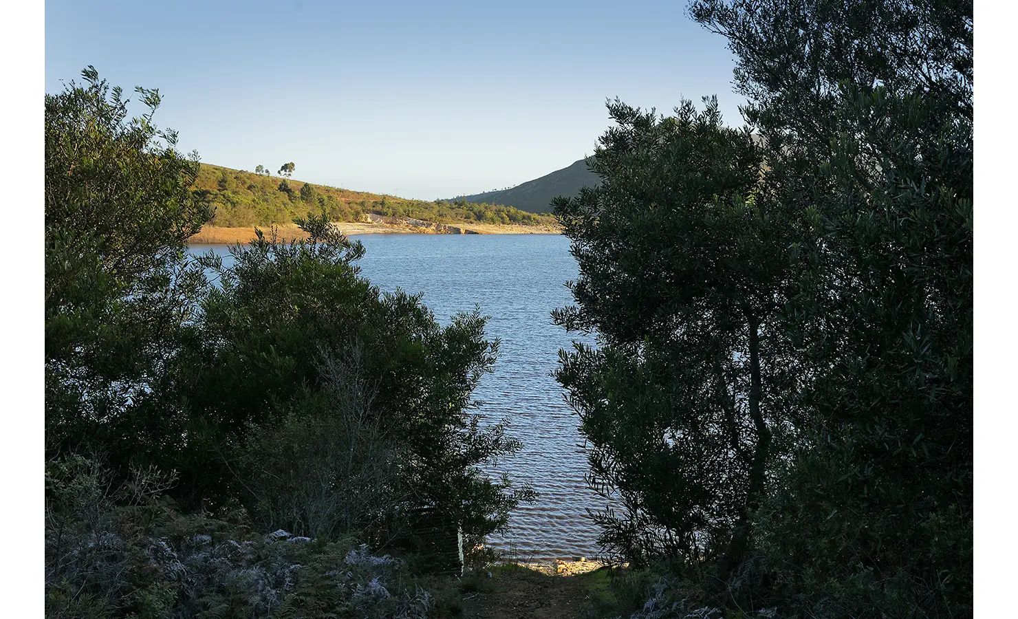 Perfect Hideaways: Framed view of the dam through lush trees, creating a serene escape into nature. Stonehaven House, Hemel-en-Aarde.