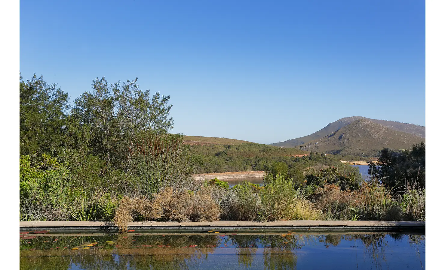 Perfect Hideaways: View across the natural swimming pool framed by indigenous plants and mountains in the distance. Stonehaven House, Hemel-en-Aarde.