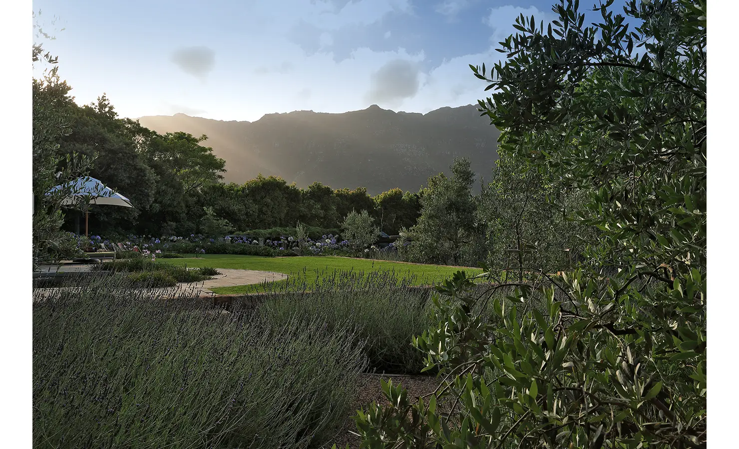 Perfect Hideaways — A breathtaking garden view at sunset, with sunlight spilling over the mountain ridge. Olive trees, lavender, and manicured lawns create a tranquil, golden landscape. Bishopscourt, Bishops Hall.
