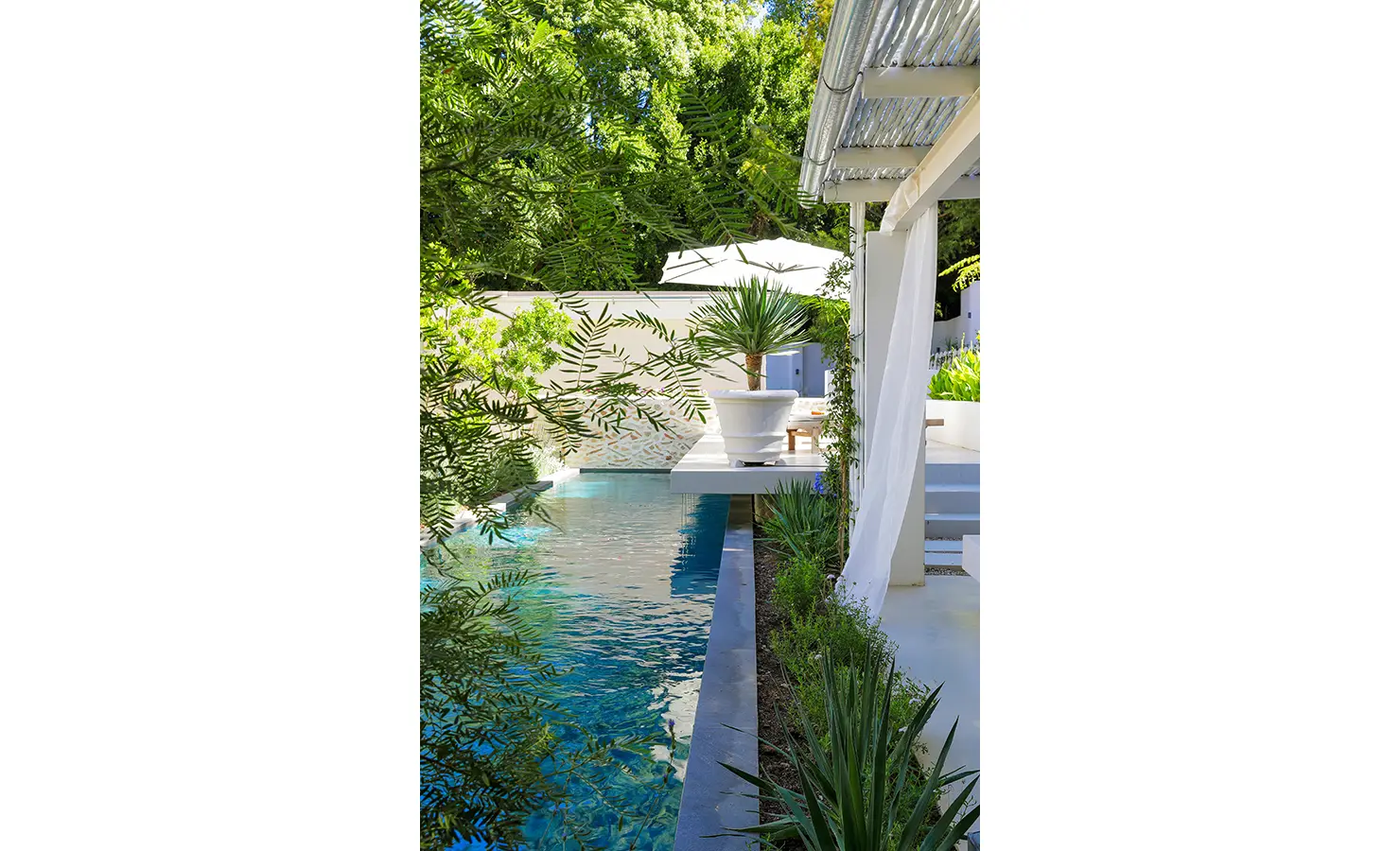 Perfect Hideaways: A secluded swimming pool lined with lush foliage and white architectural features, offering a cool, shaded retreat beneath soft flowing curtains and a corrugated metal awning. Bel Ombre Hills, Constantia.