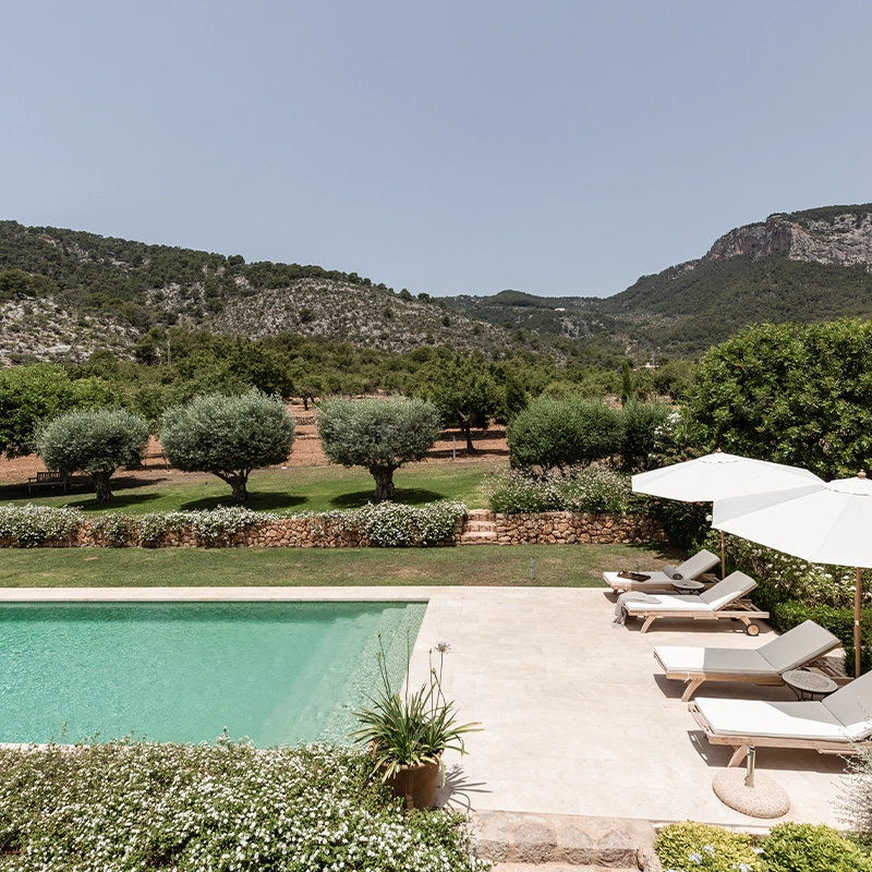 Perfect Hideaways: A serene poolside view featuring elegant sun loungers with white umbrellas, set against manicured gardens and low stone walls, framed by olive trees and the rugged mountain landscape of Mallorca. Finca Es Rafal, Alaró