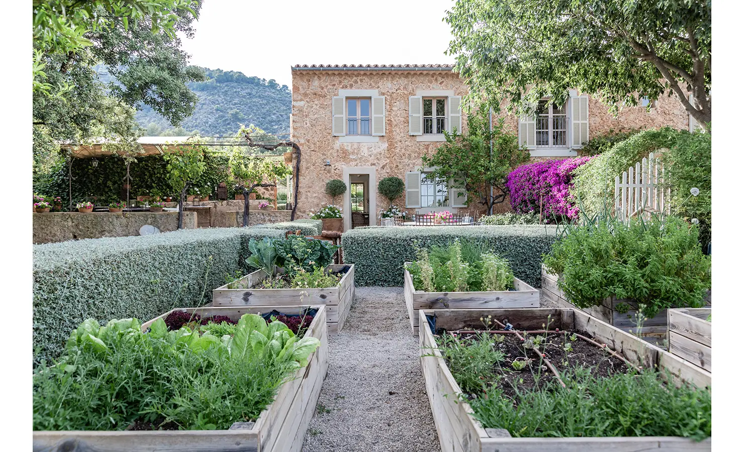 Perfect Hideaways: A flourishing kitchen garden framed by neat box hedges and raised timber beds, leading to a honey-stone farmhouse with sage shutters and cascading bougainvillea. Finca Es Rafal, Alaró